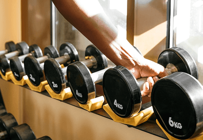 Gyms, Wellness Studios & Fitness Brands